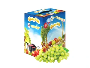 Hroznový mošt 3L - Ovocňák