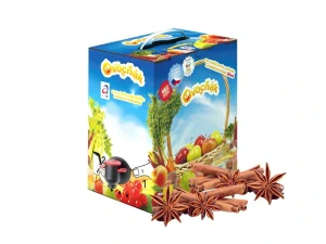 Jablečný mošt se skořicí 5L - Ovocňák