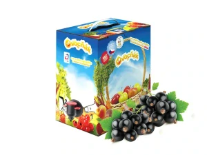 Rybízový mošt 5L - Ovocňák