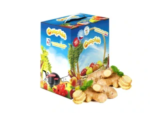 Zázvorový mošt 5L - Ovocňák