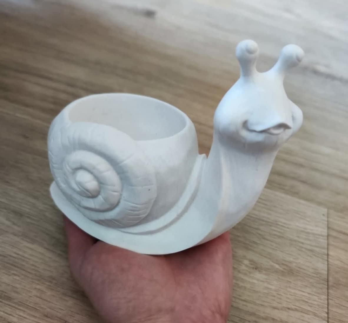 Krásný šnek do zahrádky 🐌