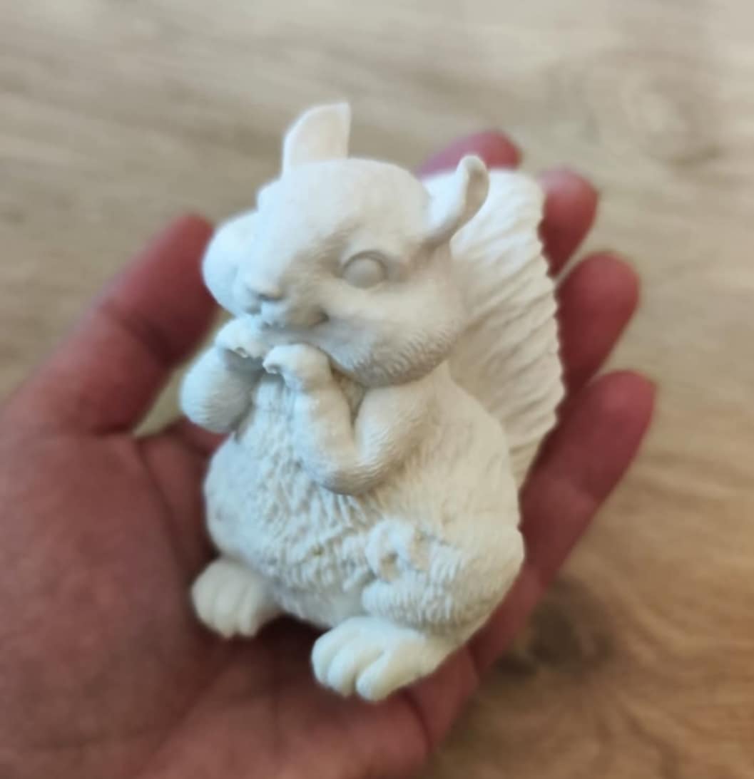 Krásná roztomilá veverka