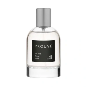 Pánský parfém CHANEL - Allure Homme Sport - 14.inspirace