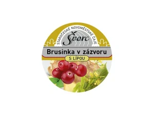 Švorc pečený čaj Brusinka v zázvoru 55ml